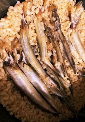 炊飯器にセットするだけ 簡単 ししゃも飯-レシピのメイン写真
