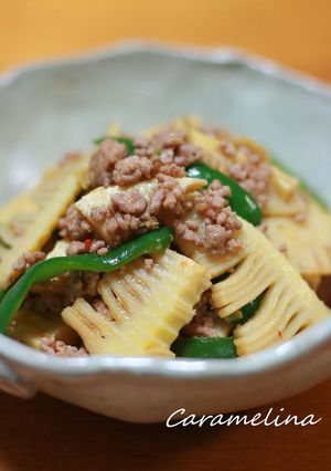 たけのことピーマンのおかず炒め-レシピのメイン写真