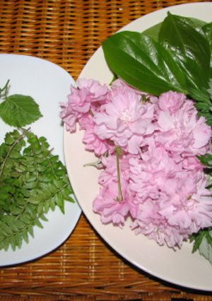 春を食べましょう「八重桜・ヨモギなど」-レシピのメイン写真