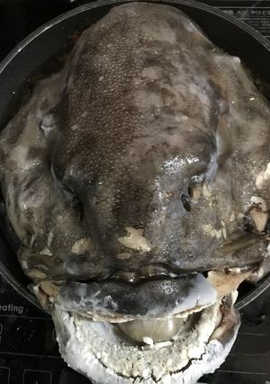 アブラボウズのアラ煮付け-レシピのメイン写真