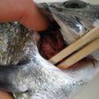 ◆包丁を入れずに腹わた処理◆