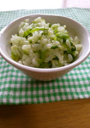 シンプルが美味♪高菜の浅漬け→混ぜご飯-レシピのメイン写真