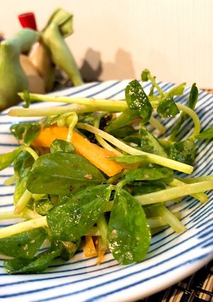 サクッともう一品 豆苗の塩こぶサラダ？-レシピのメイン写真