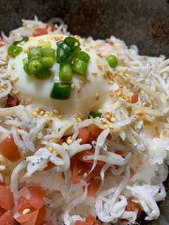 さっぱり簡単美味しい梅しらす丼 温玉のせ-レシピのメイン写真