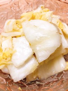 白菜の柚子胡椒浅漬け-レシピのメイン写真