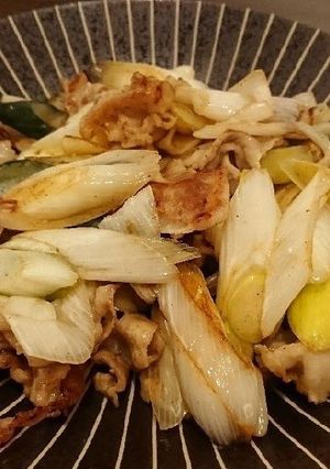 素材が活きる！下仁田ネギの豚肉炒め-レシピのメイン写真