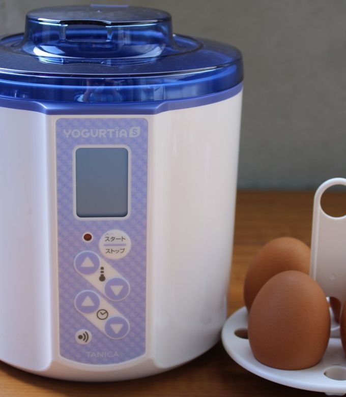 タニカ カモシコ ヨーグルティア ガラス 温泉卵 TANICA YOGURTIA
