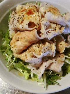 春キャベツとカイワレ入りの豚しゃぶサラダ-レシピのメイン写真