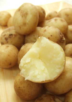 新じゃがいもを美味しく食べよう♪-レシピのメイン写真