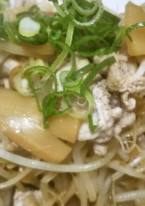 五分で豚とメンマともやし炒め-レシピのメイン写真