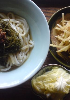 簡単ヘルシー！冷やしとろとろ梅うどん-レシピのメイン写真