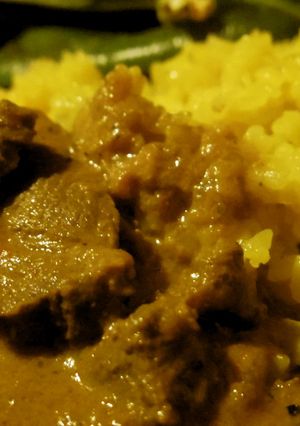 鹿モモ肉のスパイスカレー-レシピのメイン写真