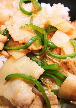 豚バラピーマン丼-レシピのメイン写真
