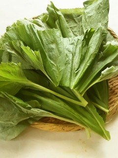 【野菜ソムリエ】ふきの葉の下処理-レシピのメイン写真