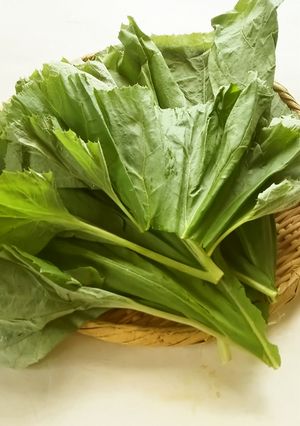 【野菜ソムリエ】ふきの葉の下処理-レシピのメイン写真