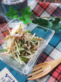 デリ風♡水菜とゴボウの濃厚ツナマヨサラダ-レシピのメイン写真