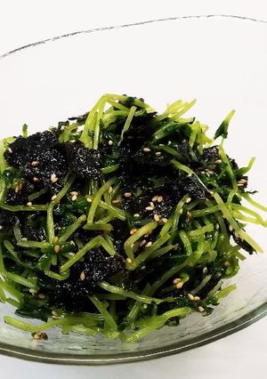 豆苗の味付海苔サラダ-レシピのメイン写真