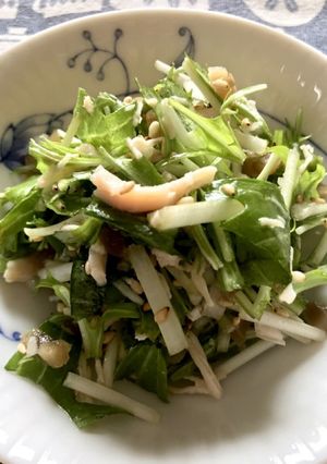水菜とザーサイと鶏ささみのサラダ-レシピのメイン写真