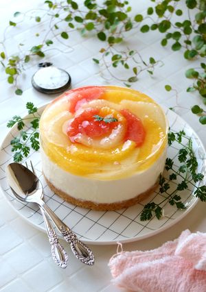 アガーで作るレアチーズケーキ-レシピのメイン写真