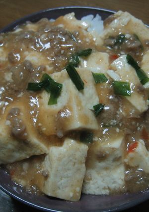 あつあつハフハフ麻婆丼♪-レシピのメイン写真
