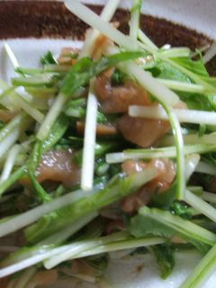水菜と梅のさっぱりサラダ-レシピのメイン写真