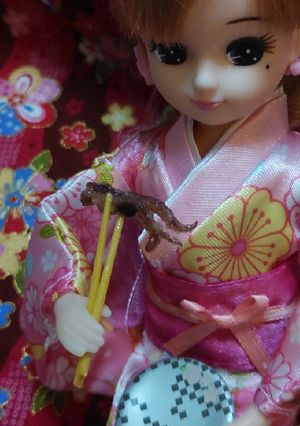 リカちゃんサイズ♡ゲソ天ꕤ*.゚-レシピのメイン写真