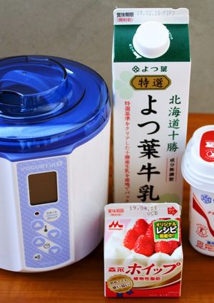 ナチュレ恵で簡単！生クリームヨーグルト-レシピのメイン写真