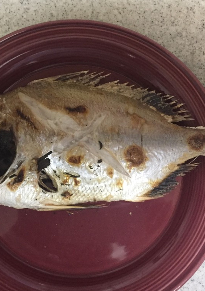ち鯛の塩焼き-レシピのメイン写真