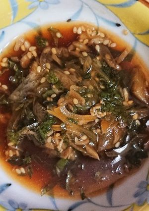 ご飯の具（ごはんのとも）大葉・茗荷谷-レシピのメイン写真