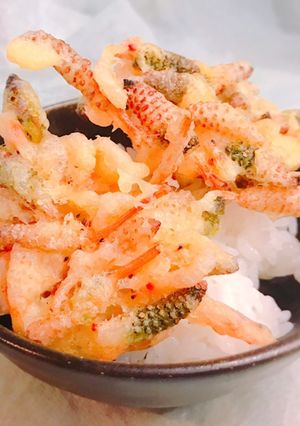 サクッ!つくしと釜揚げ桜えびのかき揚げ丼-レシピのメイン写真