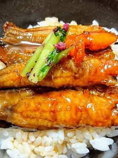 愛知の魚100選⁉ ゴンズイの蒲煮丼-レシピのメイン写真