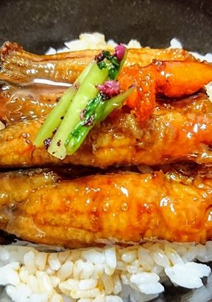 愛知の魚100選⁉　ゴンズイの蒲煮丼-レシピのメイン写真