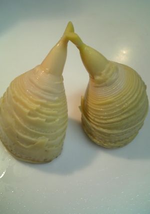 たけのこの茹で方　（写真付き）圧力鍋OK-レシピのメイン写真