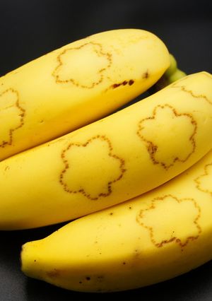 バナナアート　SAKURA　BANANA-レシピのメイン写真