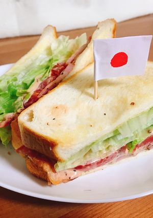 サンドイッチ・オブ・ザ・パトリオット-レシピのメイン写真