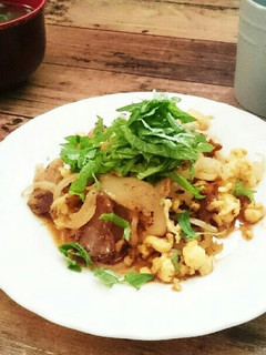 【覚書】(自分用)玉ねぎと豚バラ炒め物-レシピのメイン写真
