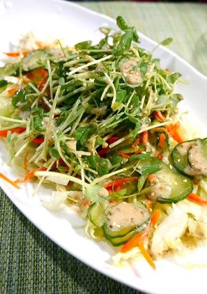 簡単！豆苗の胡麻サラダ-レシピのメイン写真