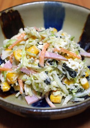 海苔とチーズのコールスローサラダ-レシピのメイン写真