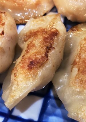 豆腐のスーパーヘルシー餃子-レシピのメイン写真