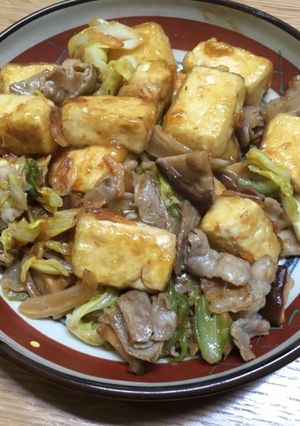 春キャベツと豆腐の中華風炒め-レシピのメイン写真