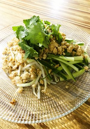 鶏むね肉ともやしのジャージャー麺風-レシピのメイン写真