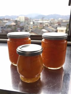 夏みかんジャム-レシピのメイン写真