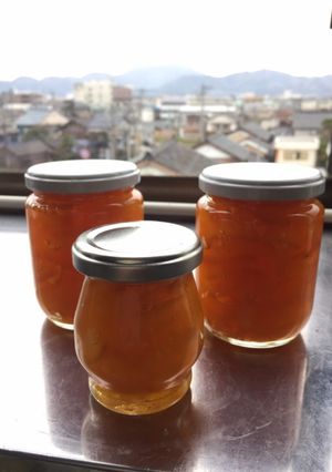 夏みかんジャム-レシピのメイン写真