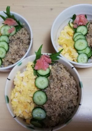 おからパウダー使用の鯖缶そぼろ-レシピのメイン写真