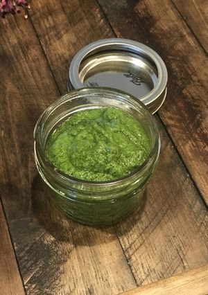 手作りシラントロのペスト-レシピのメイン写真