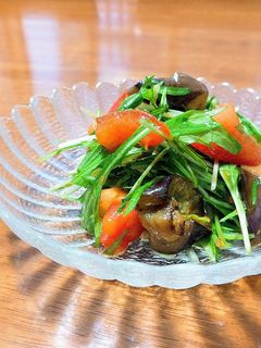 ナスと水菜のピリッとサラダ-レシピのメイン写真