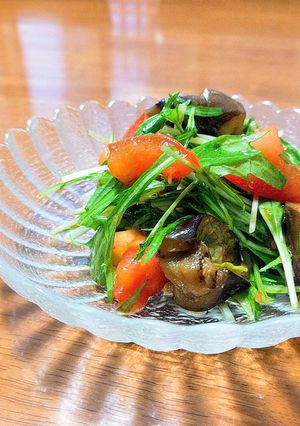 ナスと水菜のピリッとサラダ-レシピのメイン写真
