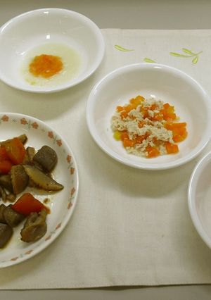 【パパママ向け】筑前煮-レシピのメイン写真