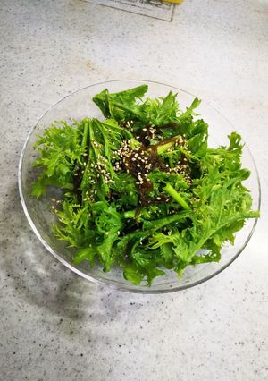食べやすい♪わさび菜ともずくのサラダ-レシピのメイン写真
