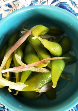 お通し枝豆しっかり味！-レシピのメイン写真